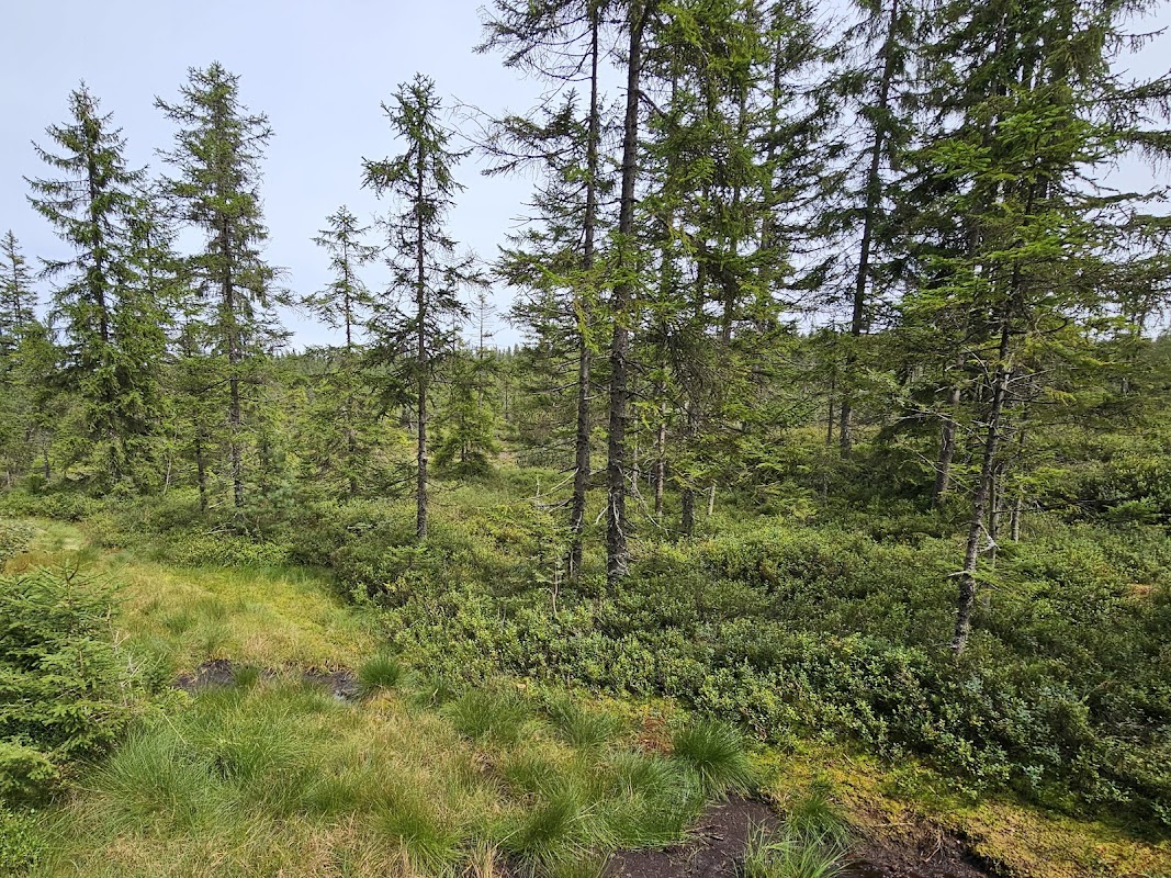 Přírodní rezervace Malý Polec