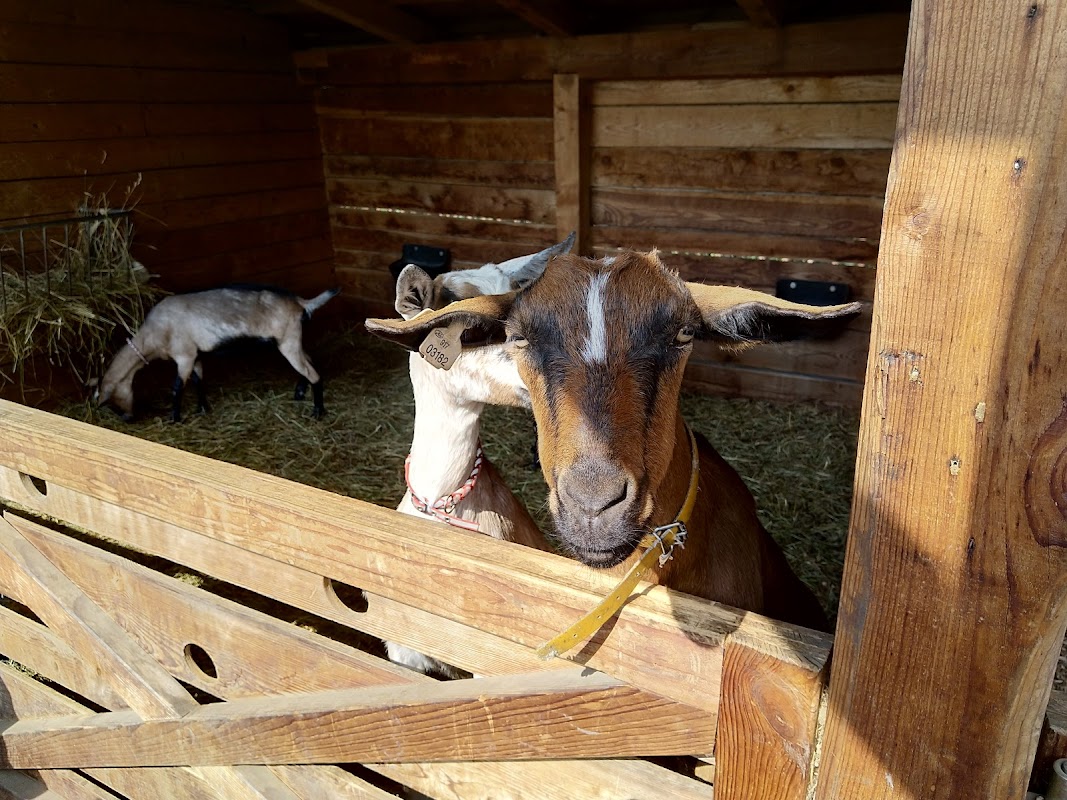 Zoopark Milíčov